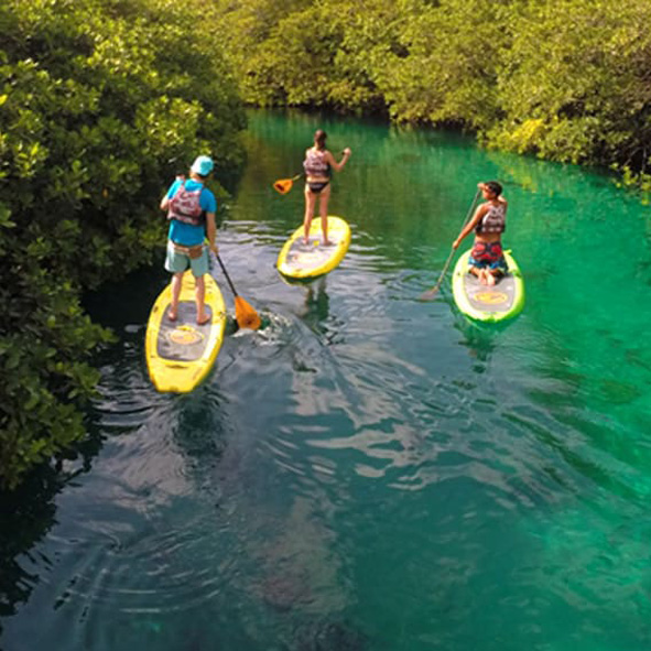 Paddle Surf en la Riviera Maya